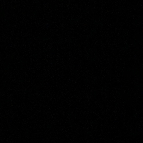 Meet your Posher, Riley - Picture 1 of 1